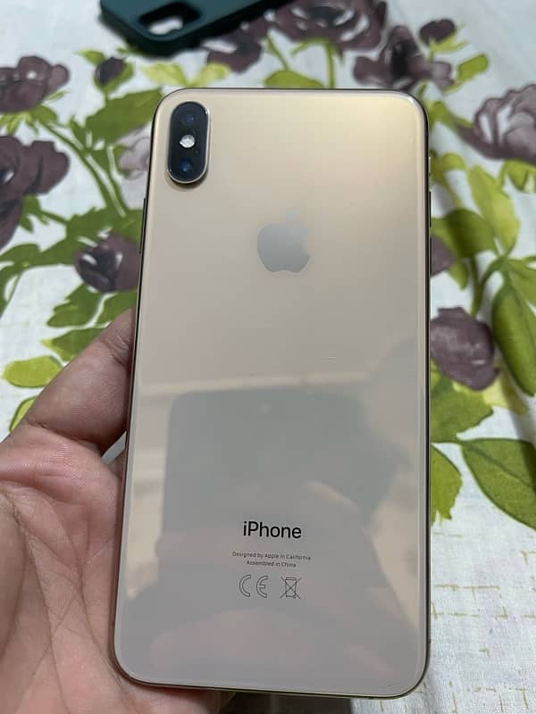 IPHONE XS MAX (256 GB) 1