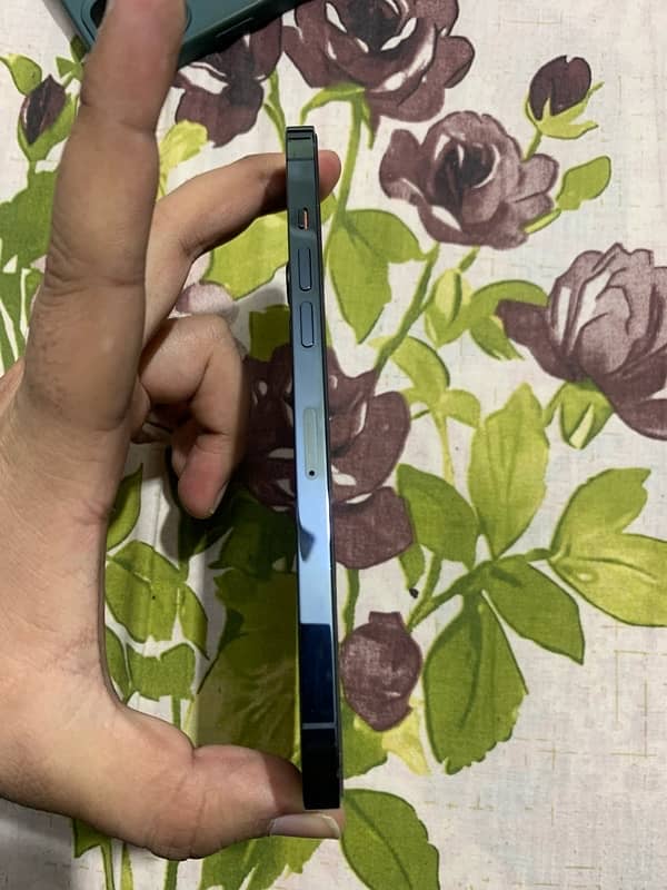 IPHONE 12 PRO MAX (256 GB) 7