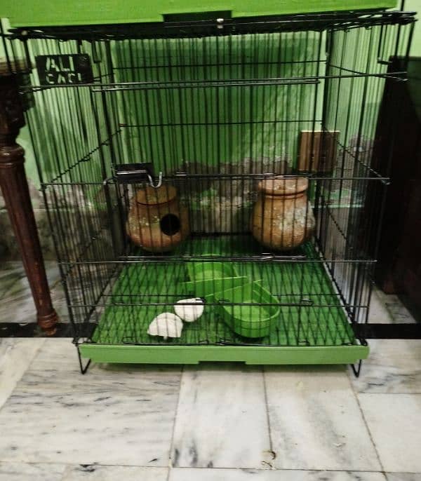 bird cage for sale urgent sale 2