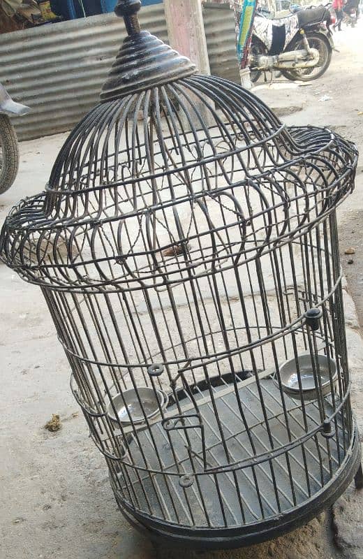 Cage for Sale 1