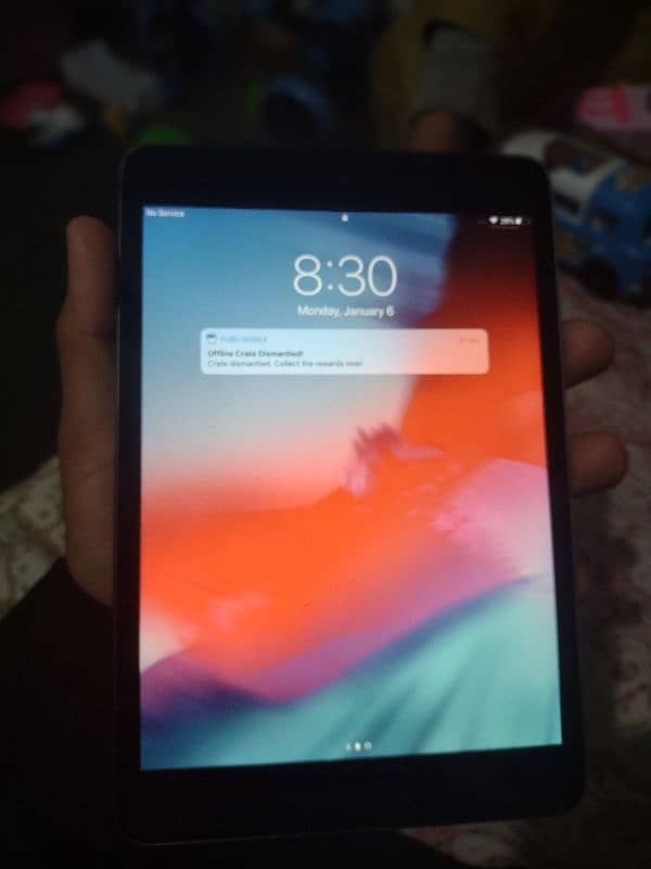 ipad mini 2 condition 10/9 with box 1