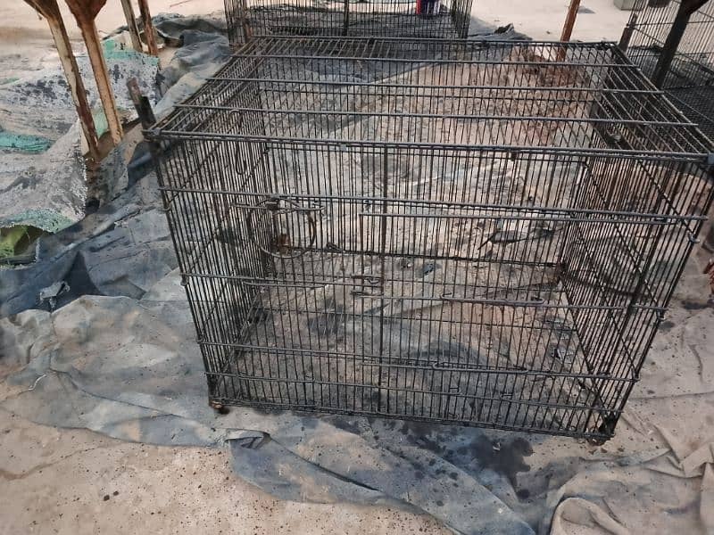 4 cages for sale 0