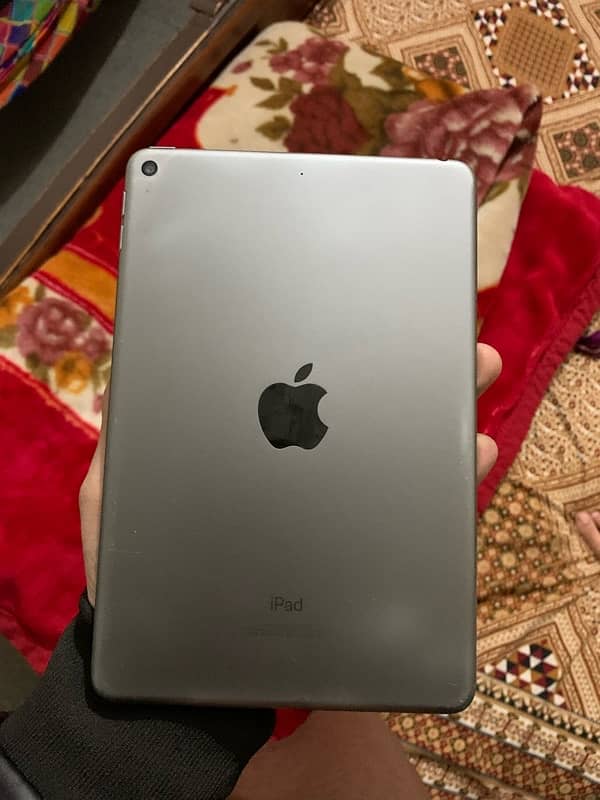 ipad mini 5 0