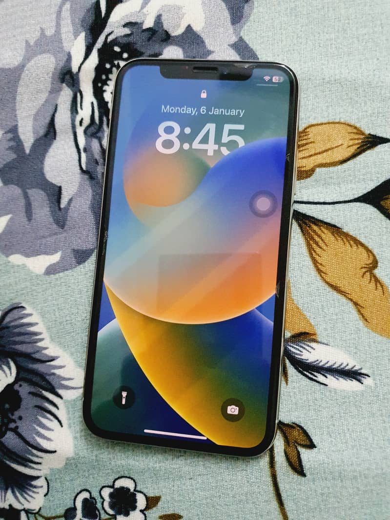 Apple iPhone X 1