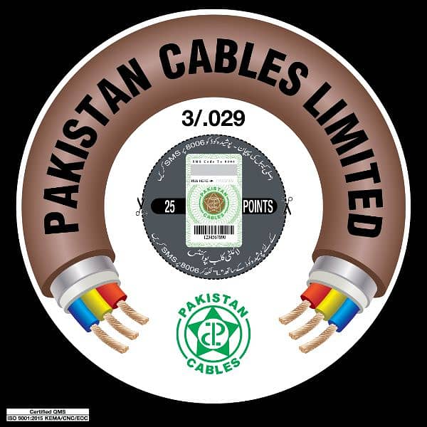 Pakistan Cables 3/29 1