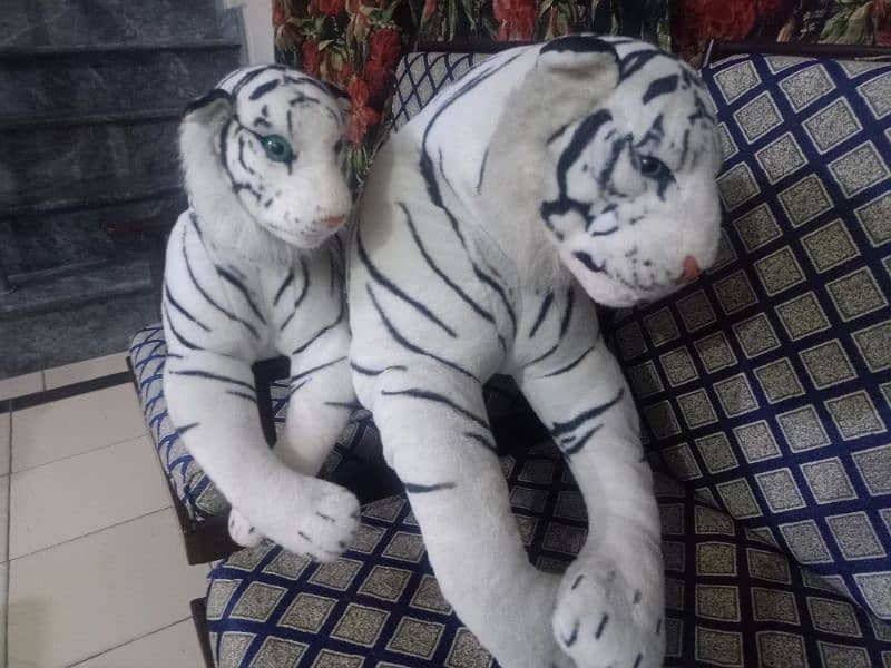 gaint tigers for sale. one is dog size & other one is cat size. 7