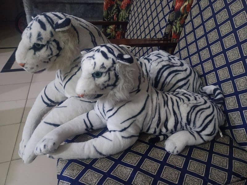 gaint tigers for sale. one is dog size & other one is cat size. 9