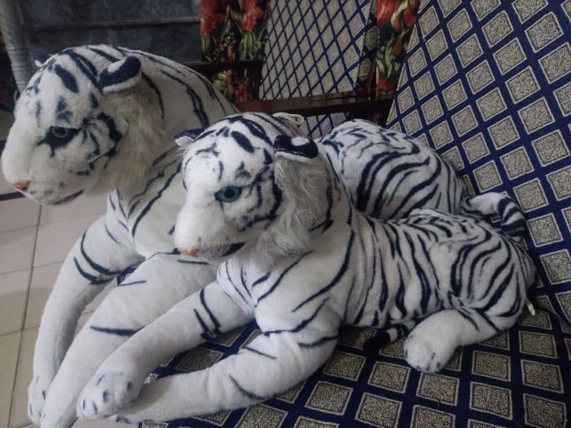 gaint tigers for sale. one is dog size & other one is cat size. 10