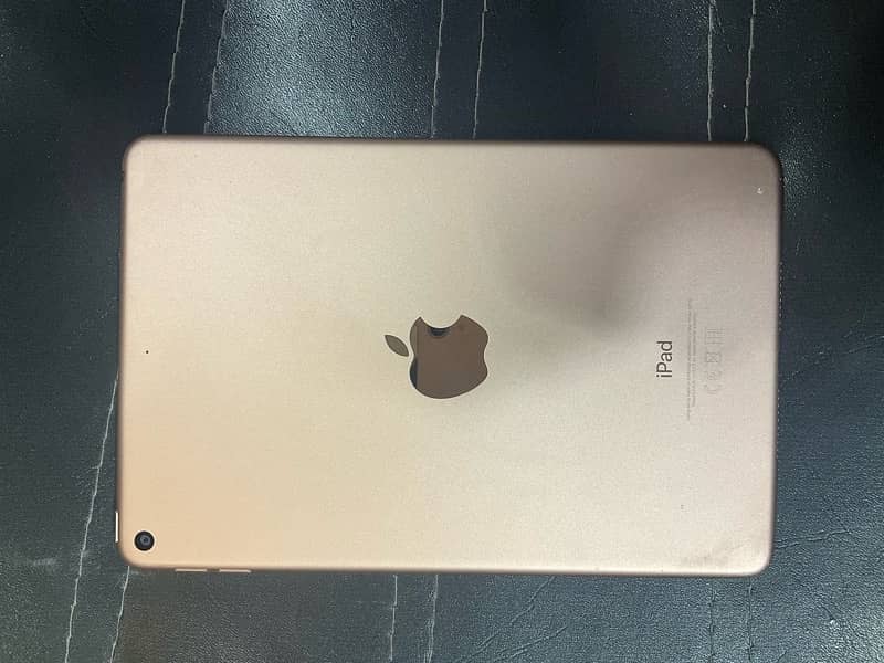 iPad mini 5.256 gb best coundisihon 3