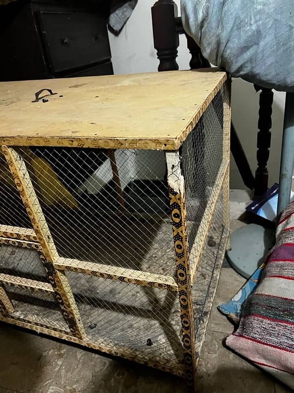 hen cage wooden 3