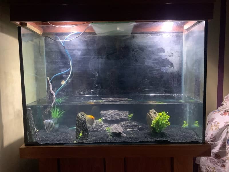 Aquarium for Sale 0