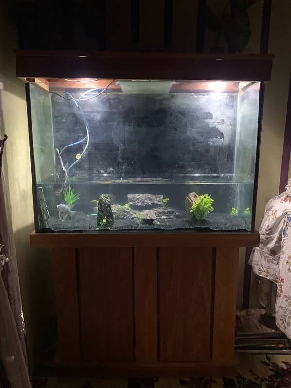 Aquarium for Sale 1