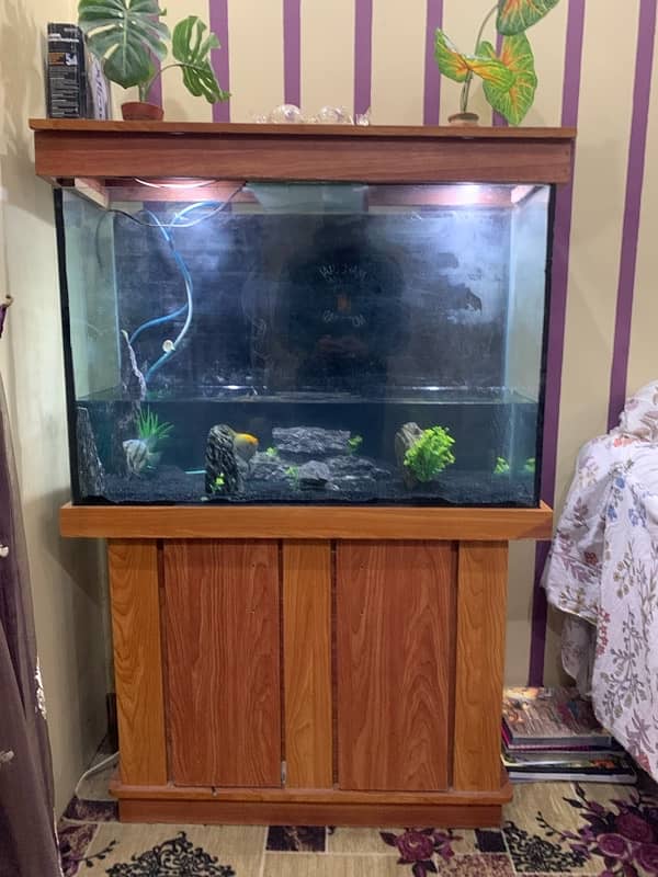 Aquarium for Sale 2