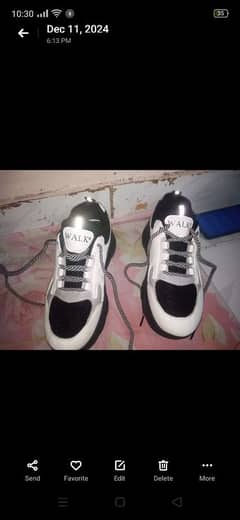 wall brand new shoes size 5