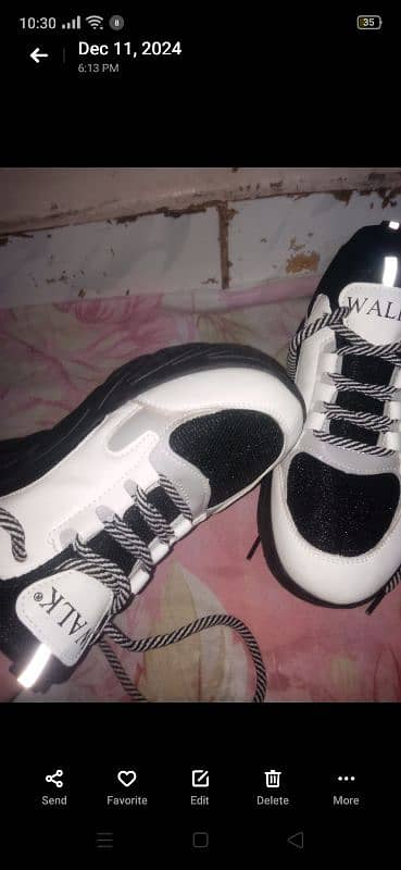 wall brand new shoes size 5 3