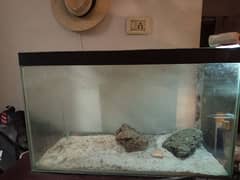 aquarium fish tank for sale