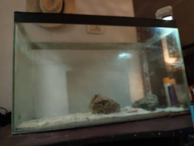 aquarium fish tank and table for sale 2