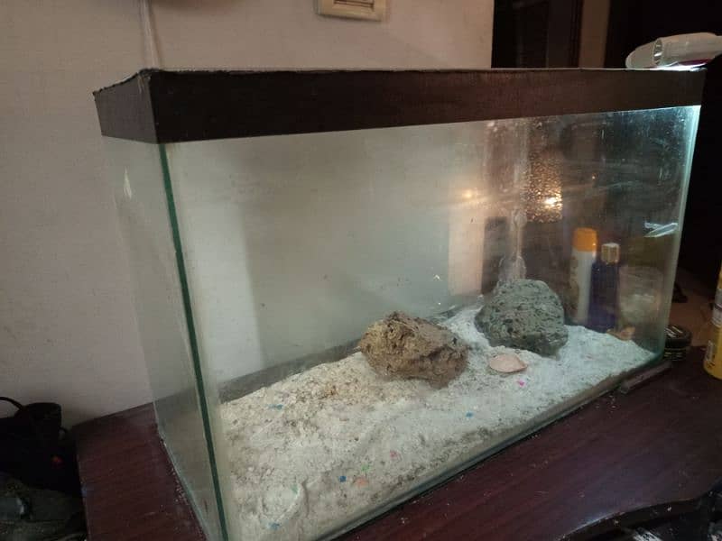 aquarium fish tank and table for sale 3