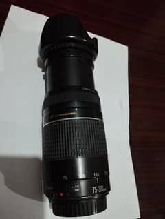 Cannon 75-300 mm Zoom lenses, excellent quality,