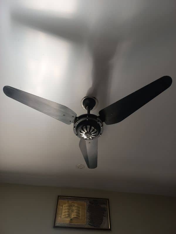 Ceiling Fans 1