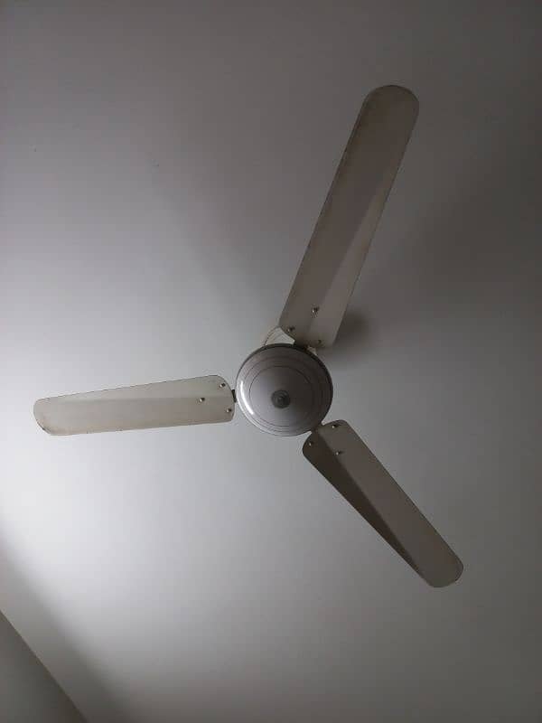 Ceiling Fans 2