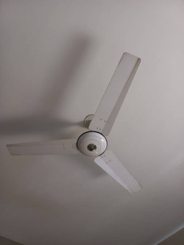 Ceiling Fans 3