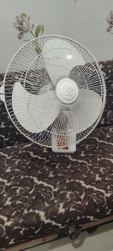 slightly used Royal Fan 2