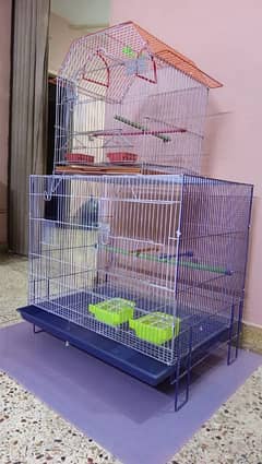 Bird. Cage & Associres