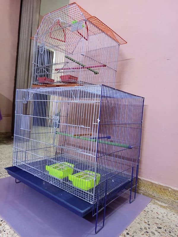 Bird. Cage & Associres 1