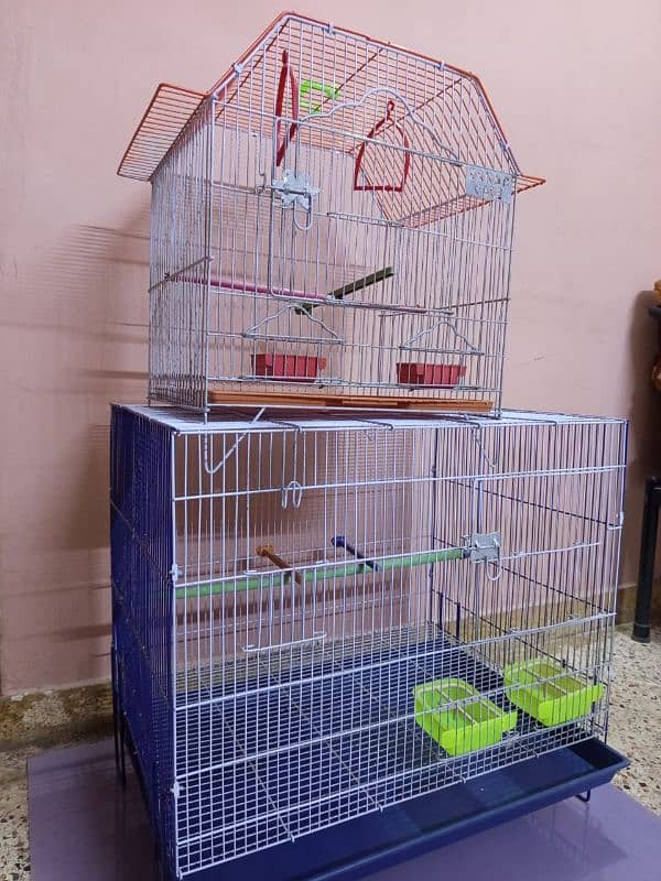 Bird. Cage & Associres 4