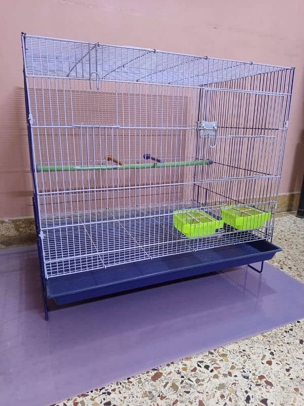 Bird. Cage & Associres 5