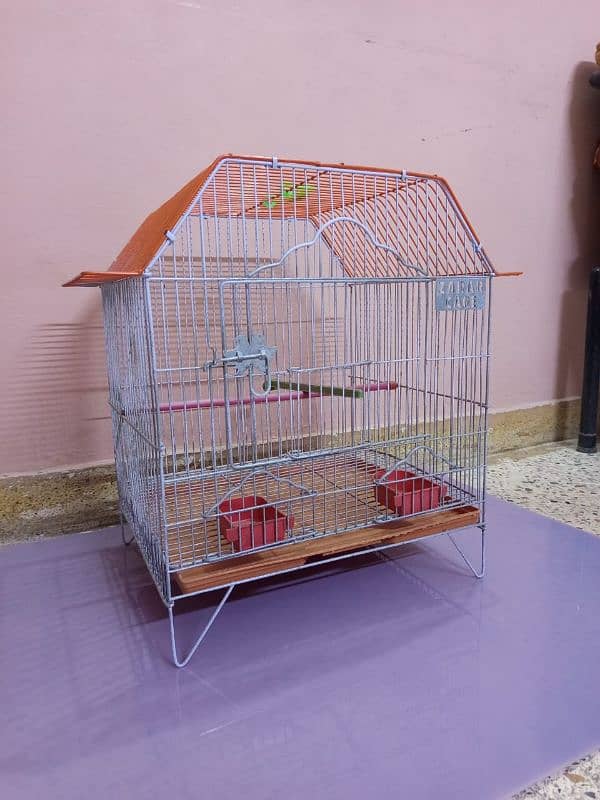 Bird. Cage & Associres 7