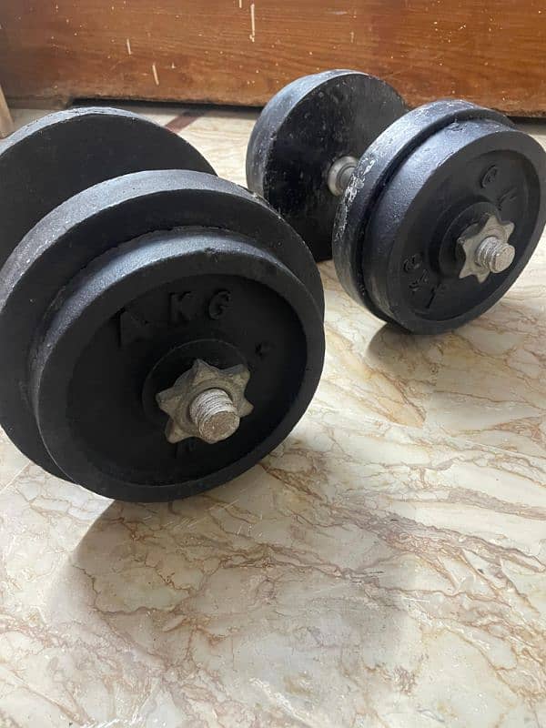 Pair of Iron Dumbbells 40 kg 1