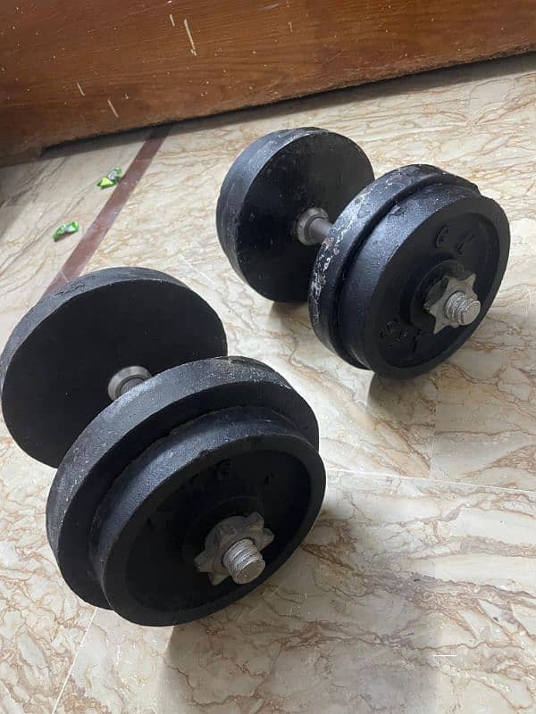 Pair of Iron Dumbbells 40 kg 3