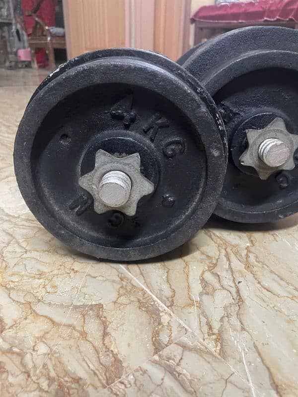 Pair of Iron Dumbbells 40 kg 4