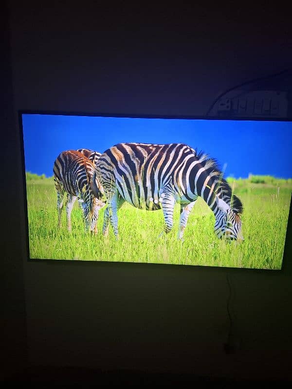 Samsung led du7000 43 inch 3