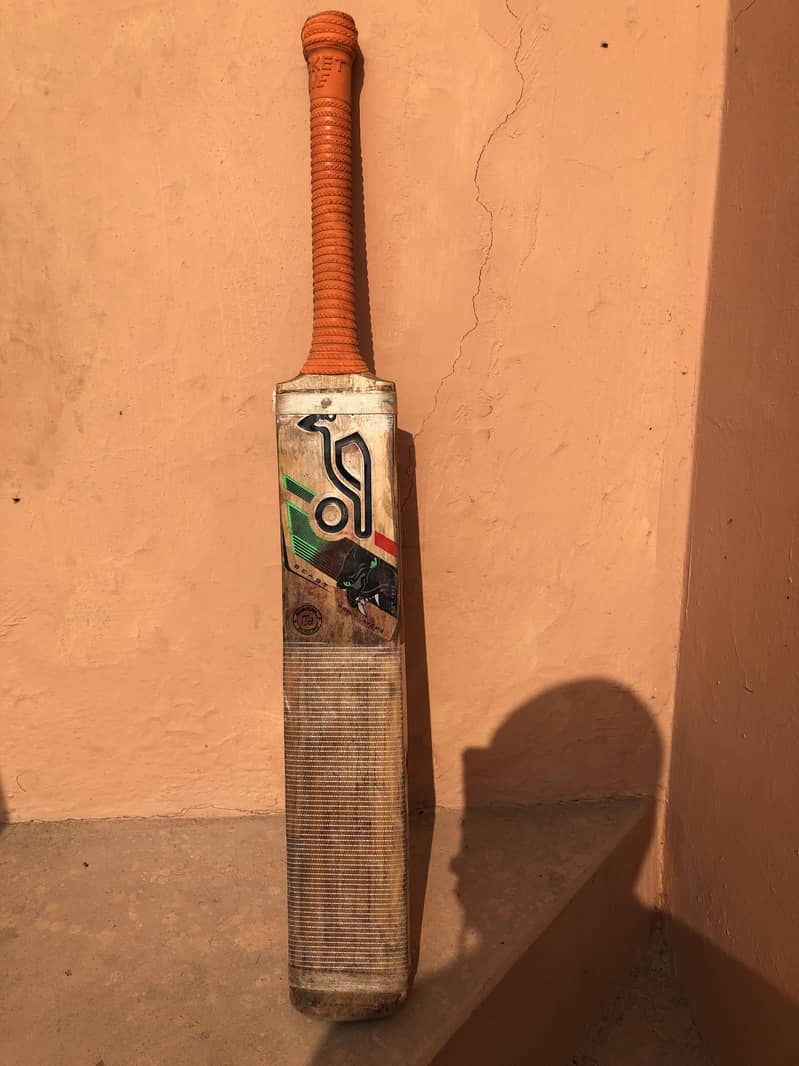 Kookaburra bat 2