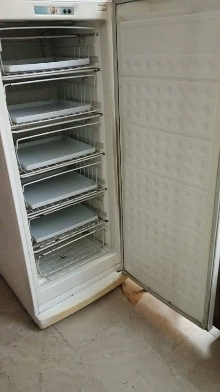 Vertical Deep Freezer 0