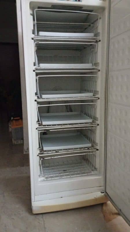 Vertical Deep Freezer 1