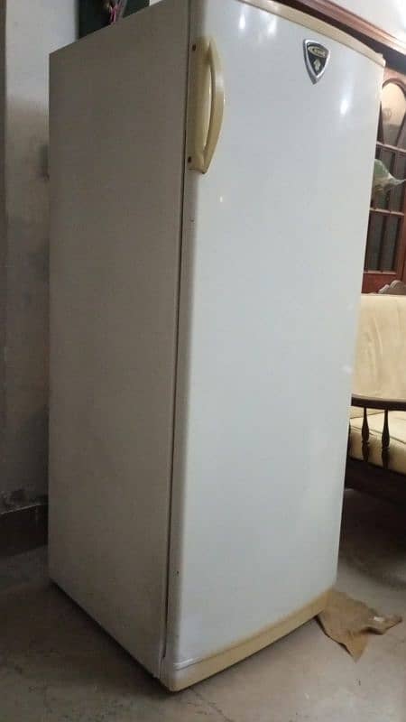 Vertical Deep Freezer 2