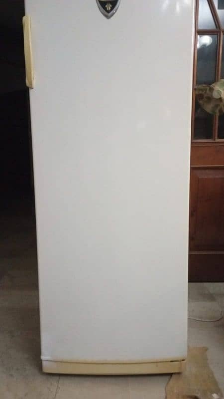 Vertical Deep Freezer 3