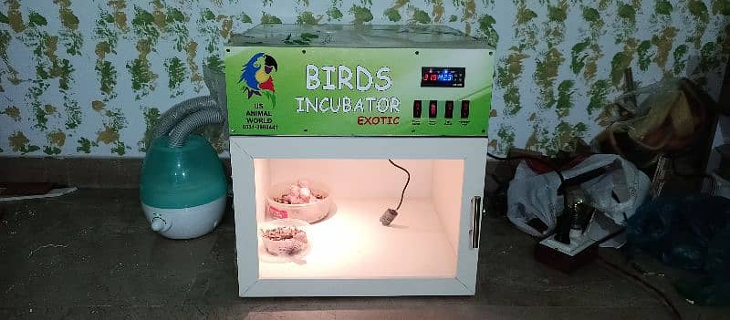 Birds Brooders And Incubators 7