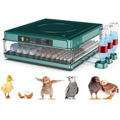 Intelligent 70 eggs incubator dual power