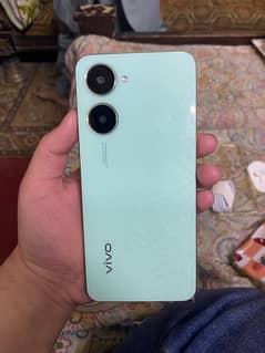 vivo