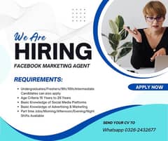 Facebook Marketing Agent