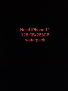 need iPhone 11