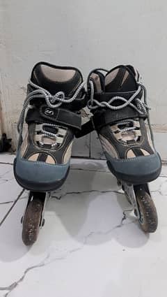 Roller Skating Shoes (Women Size 38-24.5cms)