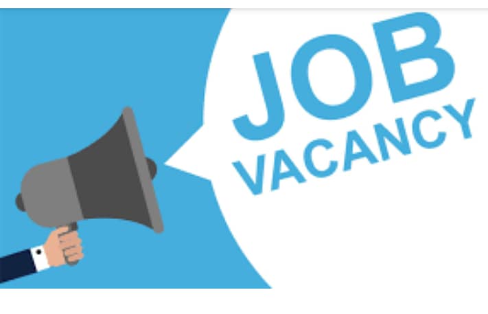 Required Social Media Marketing Expert For Boys Hostel. E-11 Islamabad 0