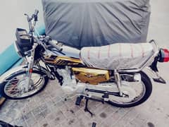 Honda 125 Gold Edition Model 2024