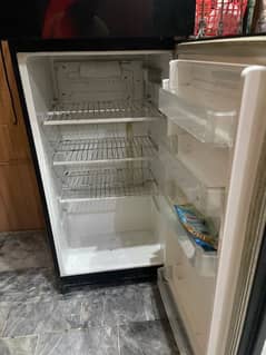 Pel Medium Size Glass Door Fridge